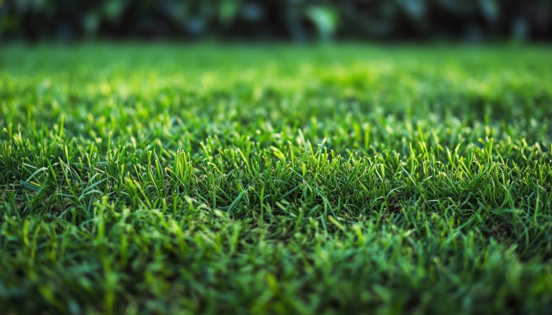 Commercial Sodding in Aiken, SC